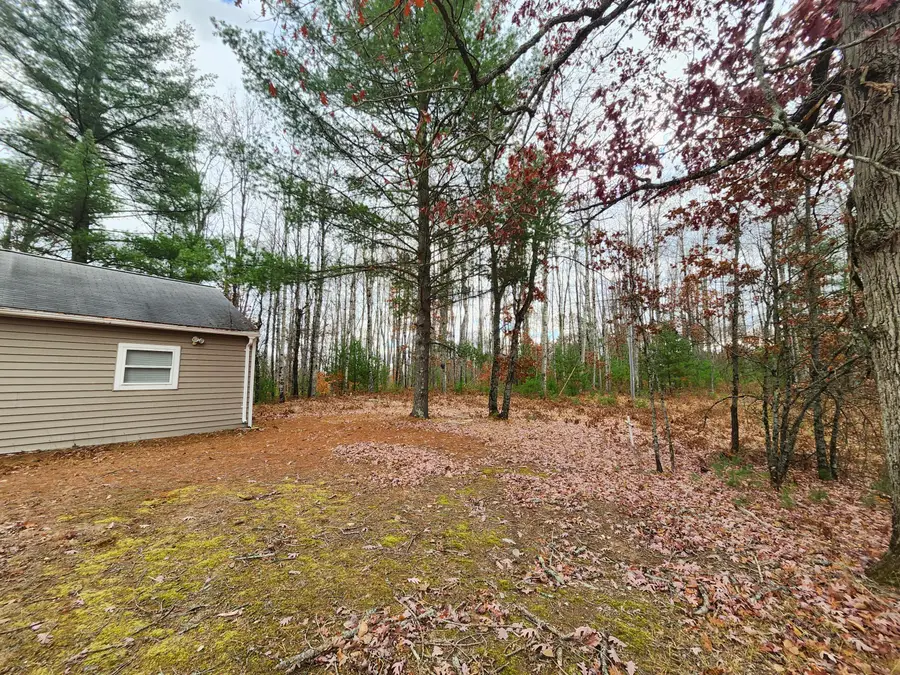 10544 N Lazy Lane, Bitely, MI 49309 - #3