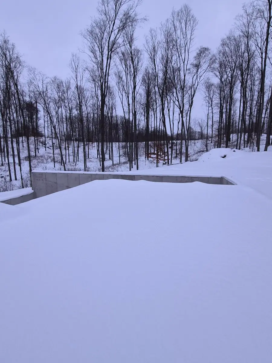 16314 Mitchell Creek Trail, Big Rapids, MI 49307 - #3