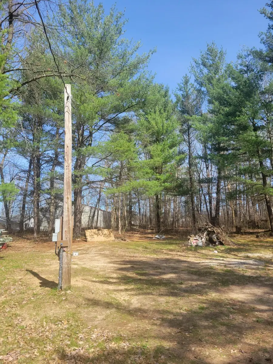 8650 Paw Paw Trail, Howard City, MI 49329 - #3