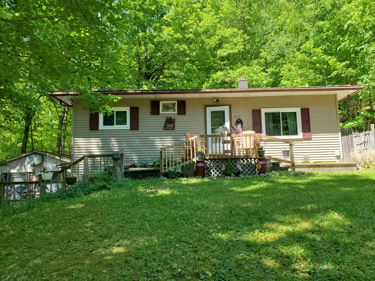 9173 220th Avenue, Stanwood, MI 49346 - #1