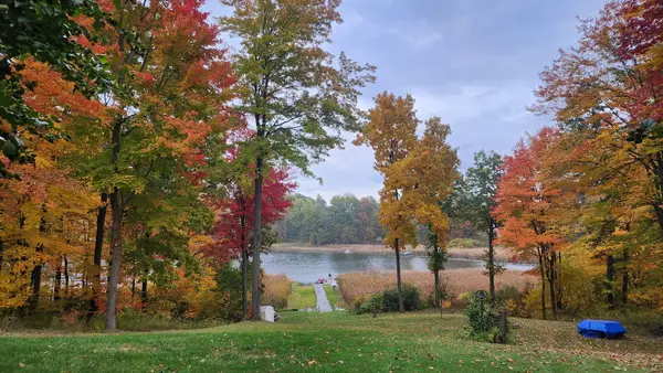 6670 Tower Lake Road NE, Belding, MI 48809