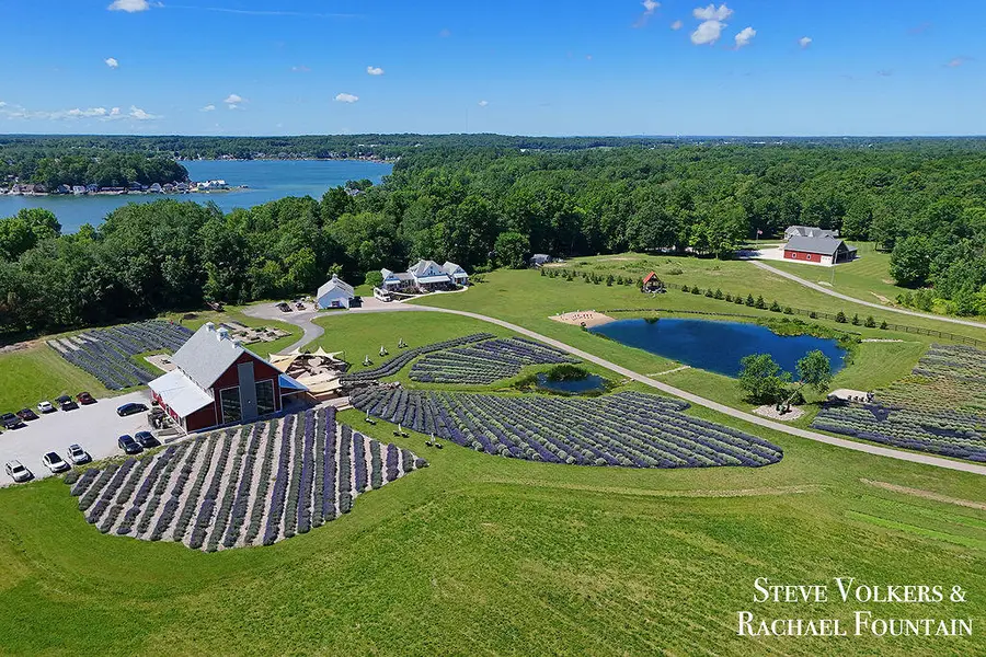 464 Stanton Farms Drive, Caledonia, MI 49316 - #3