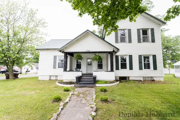 205 N Lincoln Avenue, Lakeview, MI 48850