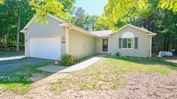 4561 N Pine Avenue, Mears, MI 49436