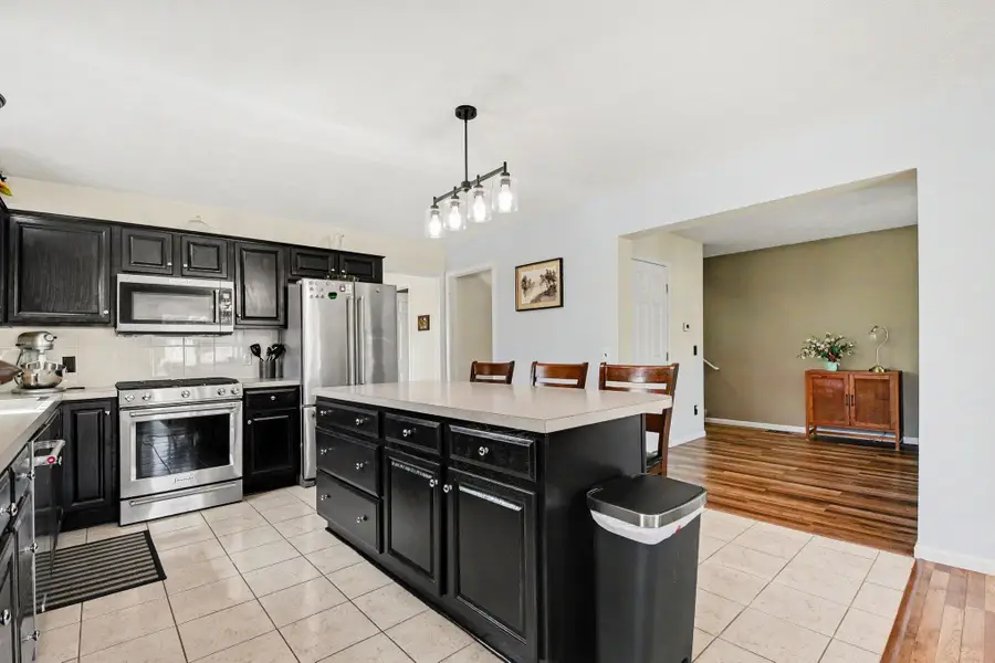 132 Foxtail Drive, Ionia, MI 48846 - #3
