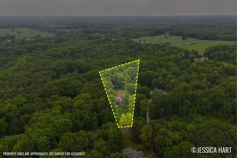 8969 Conservancy Drive NE, Ada, MI 49301 - #2