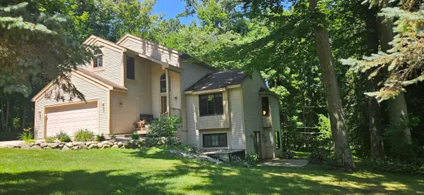 10029 Wildwood Court, Richland, MI 49083