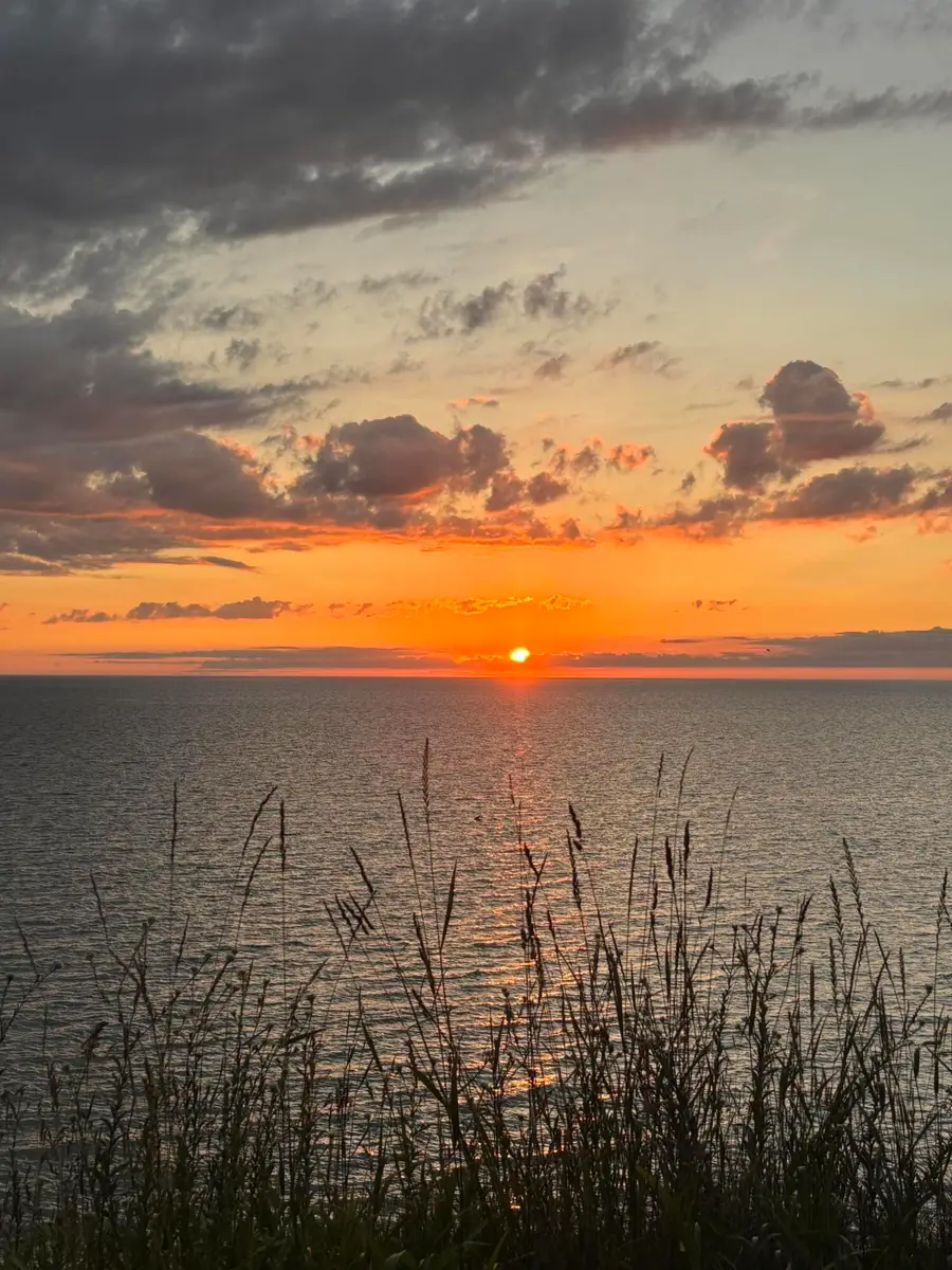 1192 Cherry Drive, Casco, MI 49090 - #3