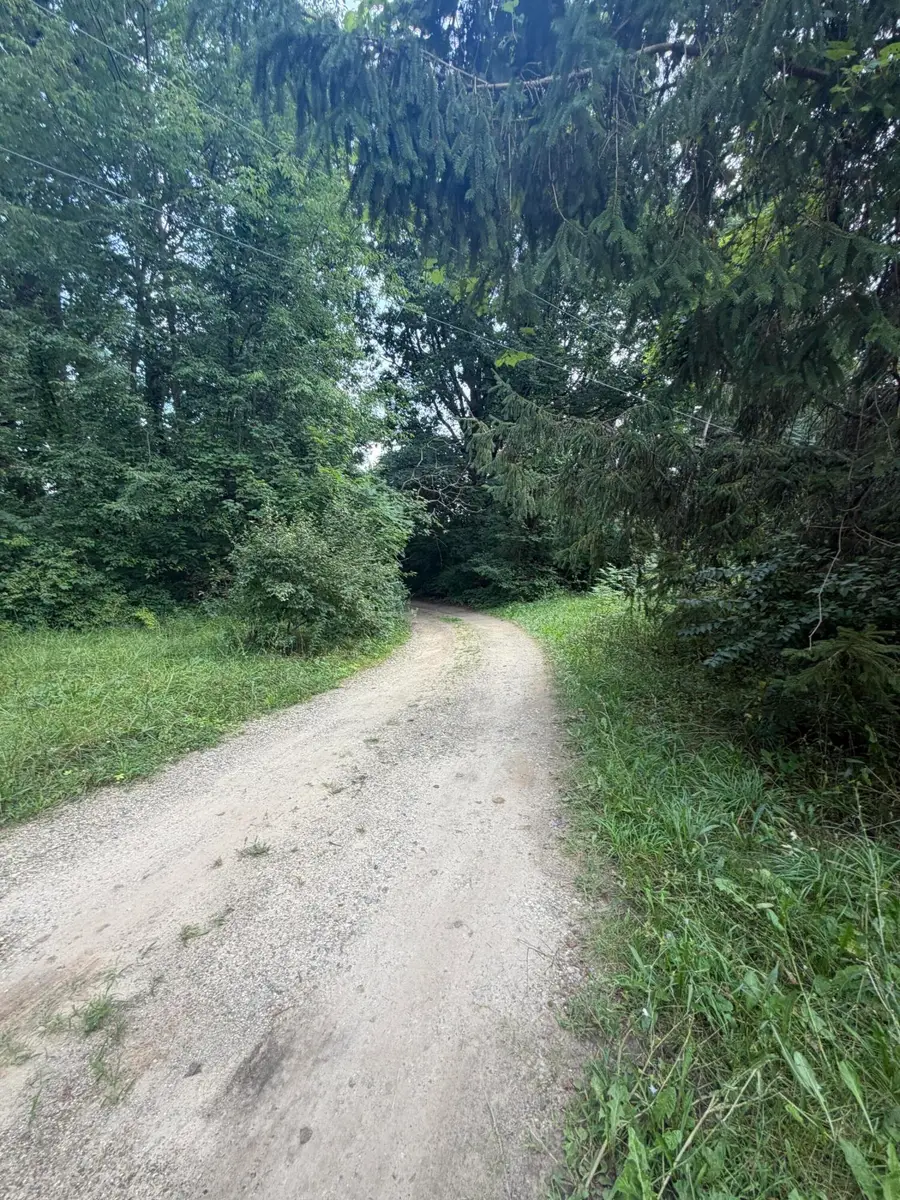 25306 Mckenzie Street, Dowagiac, MI 49047 - #3