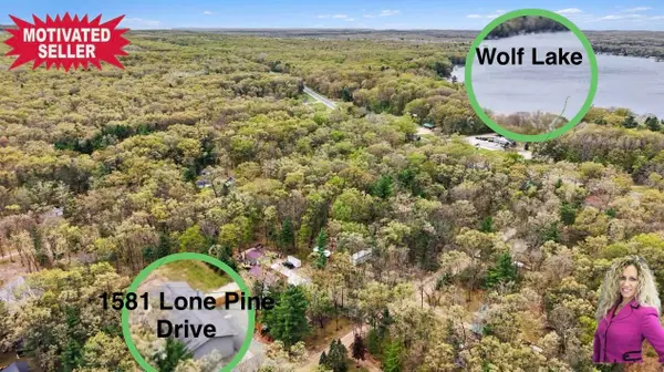 1581 Lone Pine Drive, Baldwin, MI 49304