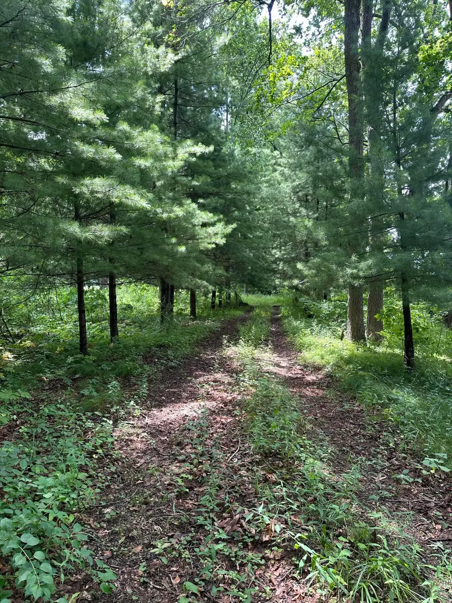 14765 Millard Road, Fabius, MI 49093 - #3