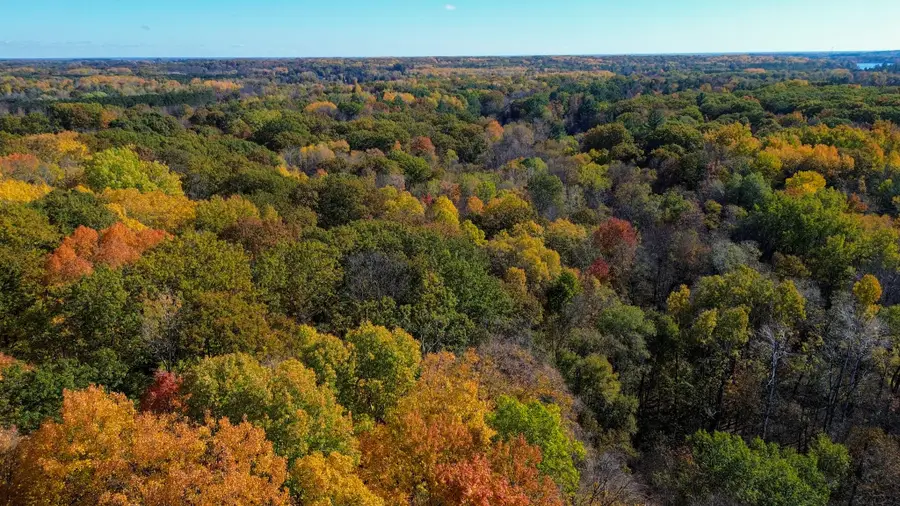 1366 N Bard Road, Gladwin, MI 48624 - #3