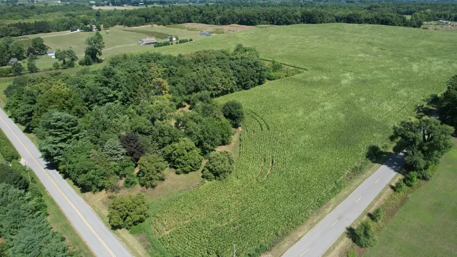 545 Biastock Road, Bainbridge, MI 49022 - #2