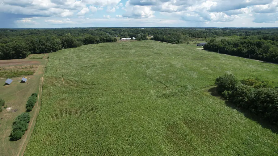 545 Biastock Road, Bainbridge, MI 49022 - #3
