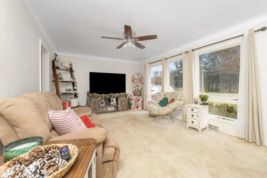 733 Hazen Street, Paw Paw, MI 49079 - #3