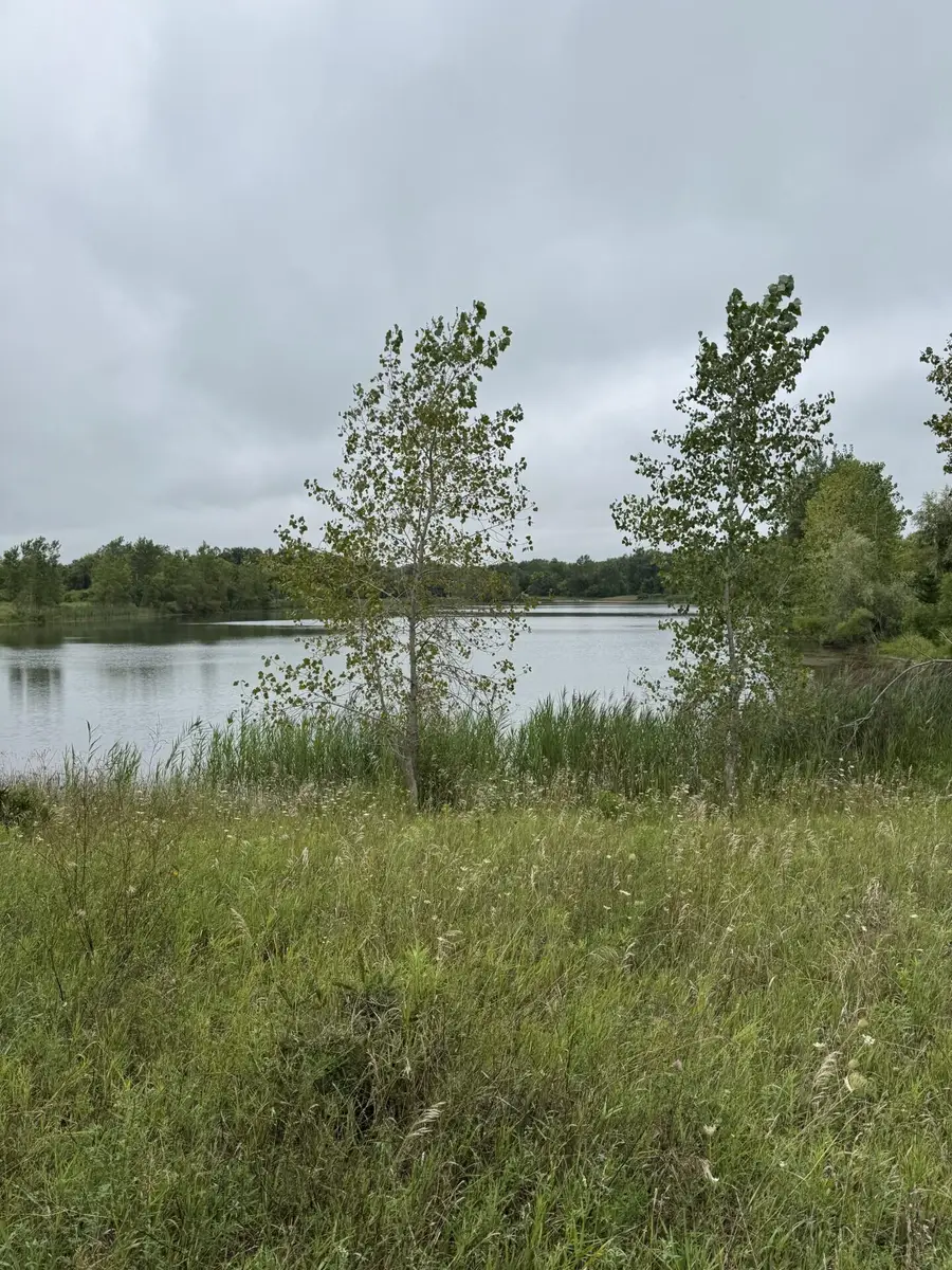 6971 Hartel Road, Potterville, MI 48876 - #2