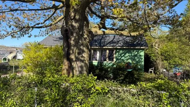 2820 Sheffield Street, Norton Shores, MI 49441 - #1