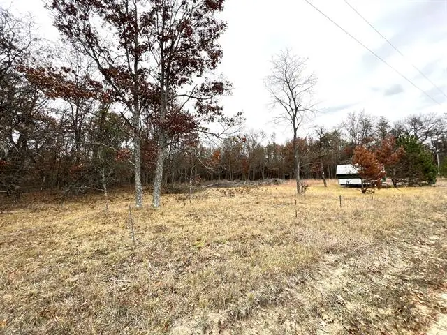 2442 E 38th Street Street, Idlewild, MI 49642 - #2