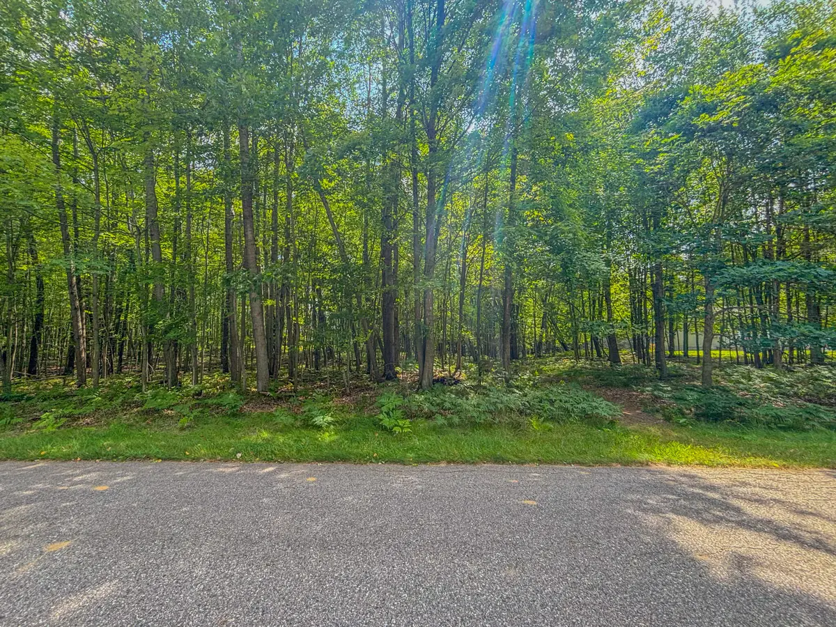 9385 Clubhouse Drive W, Canadian Lakes, MI 49346 - #1