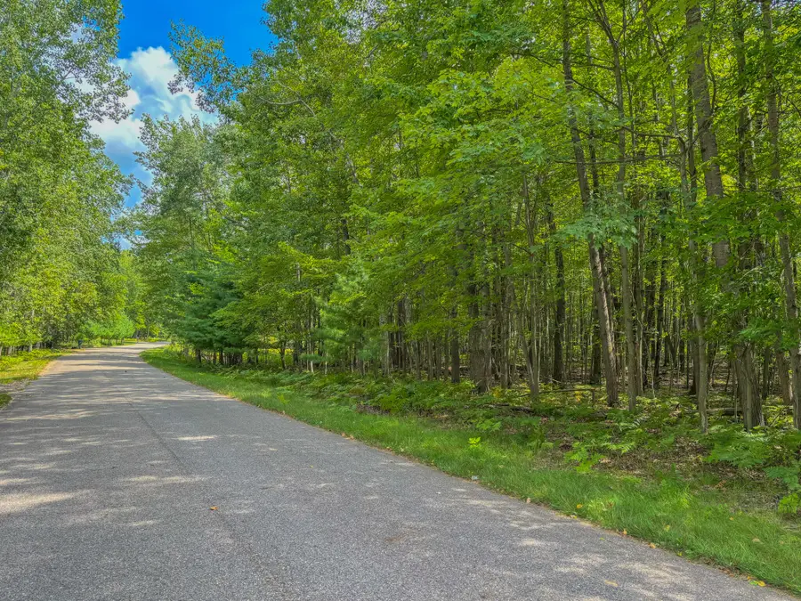 9385 Clubhouse Drive W, Canadian Lakes, MI 49346 - #2