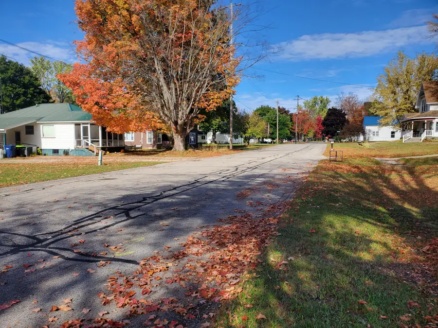 306 N Carland Street, Marion, MI 49665 - #3