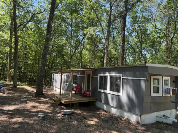9612 S Briar Avenue, Baldwin, MI 49304