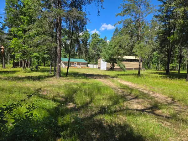 3800 W 4 Mile Road, Irons, MI 49644