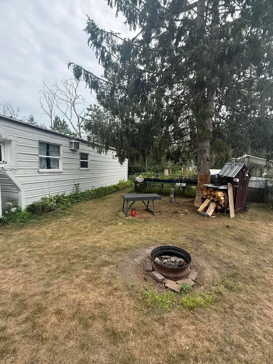 1383 W Palmer Avenue, Baldwin, MI 49304 - #3
