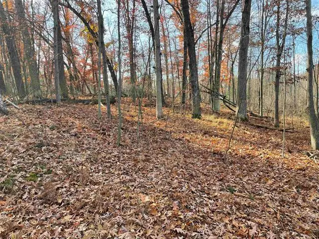 0 First, Prescott, MI 48756 - #1