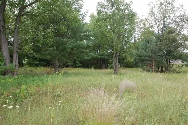 0 Jonathan CT, WestBranch, MI 48661