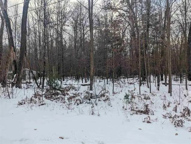 N/A Georgia Edna, Prescott, MI 48756 - #2