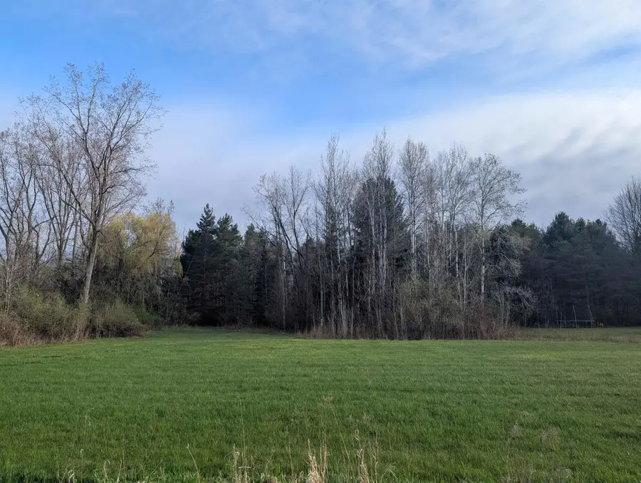 N/A Pine ST, Omer, MI 48749 - #3