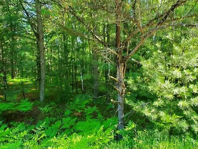 0 Hillside DR, Alger, MI 48610 - #1