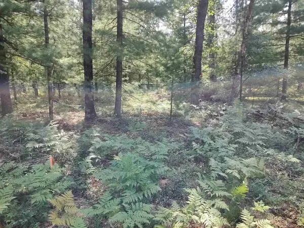 Lot 186 Winterset DR, Alger, MI 48610
