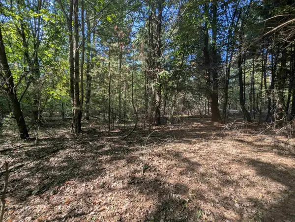 N/A N Forest Lake DR, Alger, MI 48610