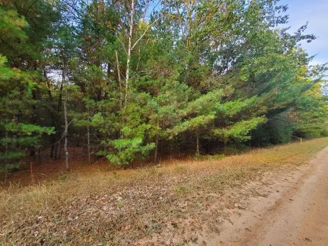 0 Buffalo TRL, Alger, MI 48610 - #3