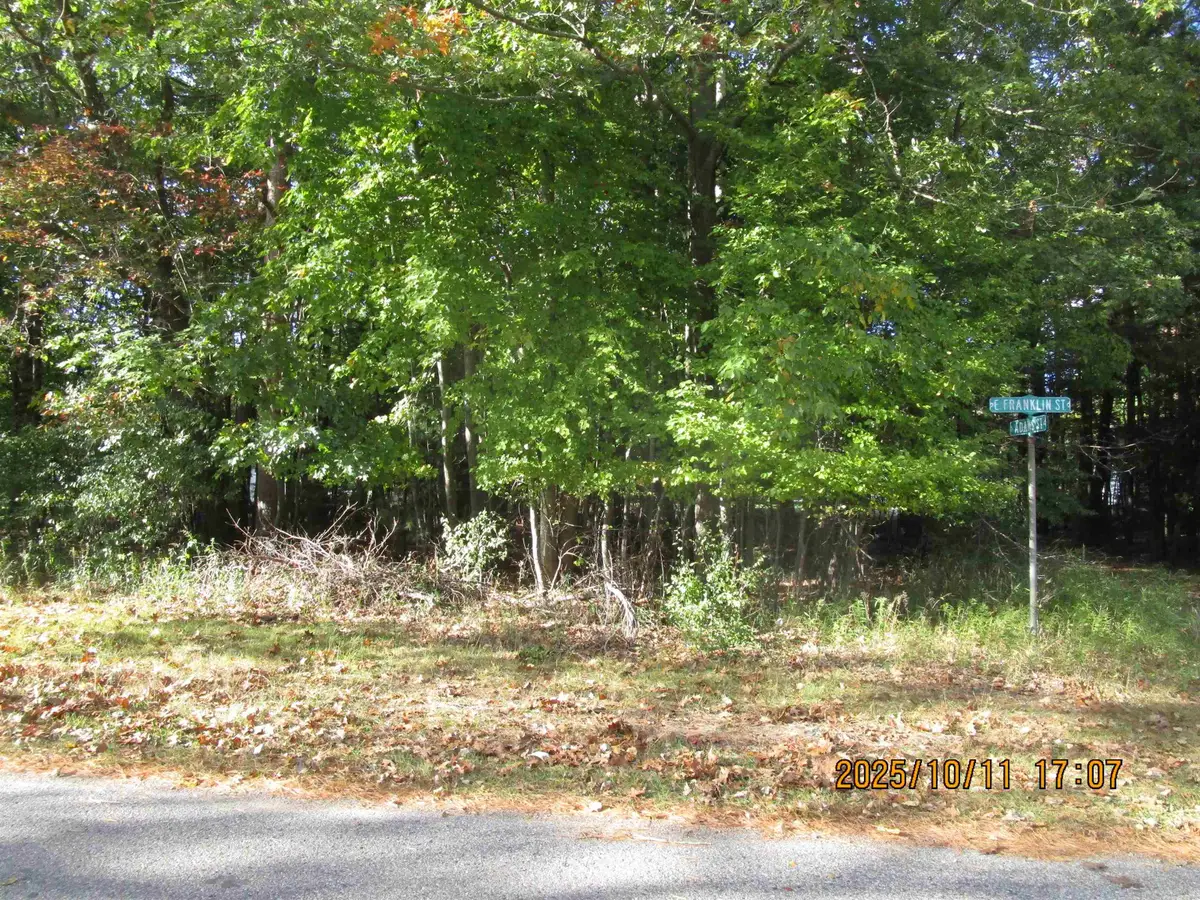 00 E Franklin ST, Baldwin, MI 48730 - #1