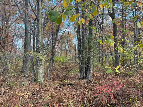 NKA Husak RD, Omer, MI 48749