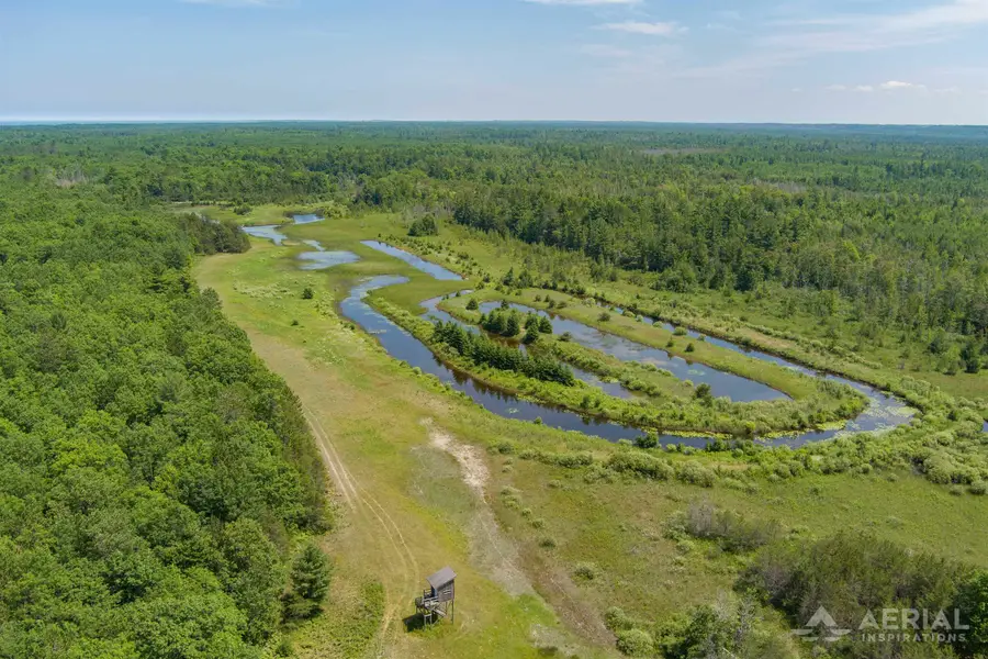 0 Co Road 646, Rogers, MI 49779 - #3