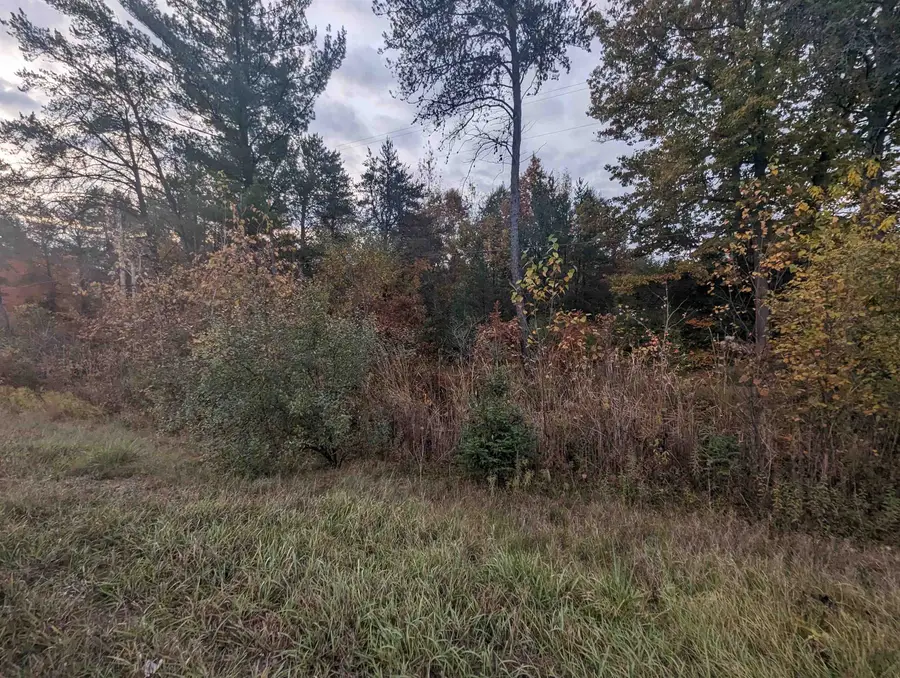 N/A E Huron, Omer, MI 48749 - #2