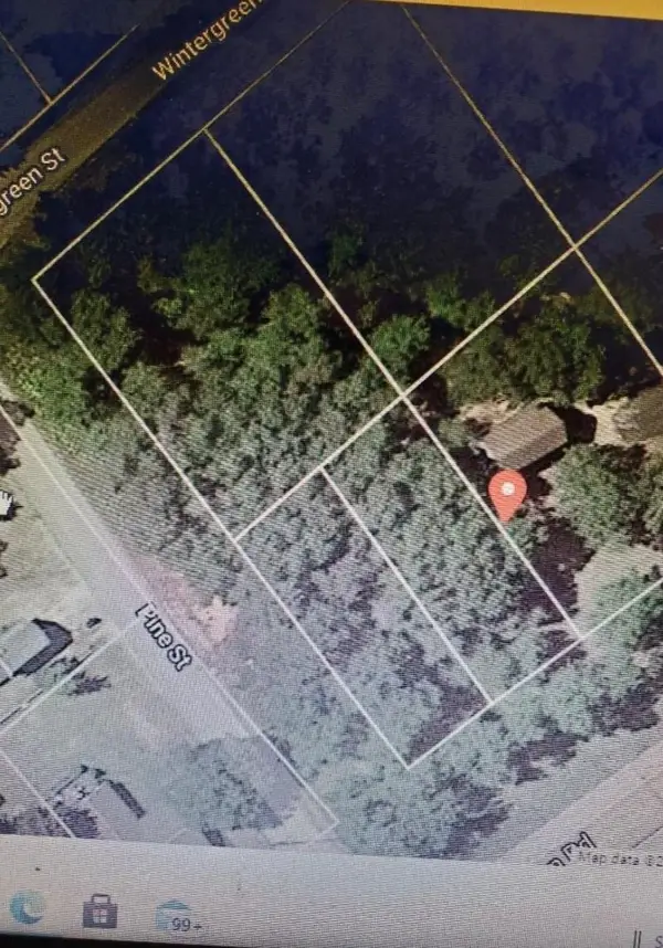 00 Wintergreen, EastTawas, MI 48730