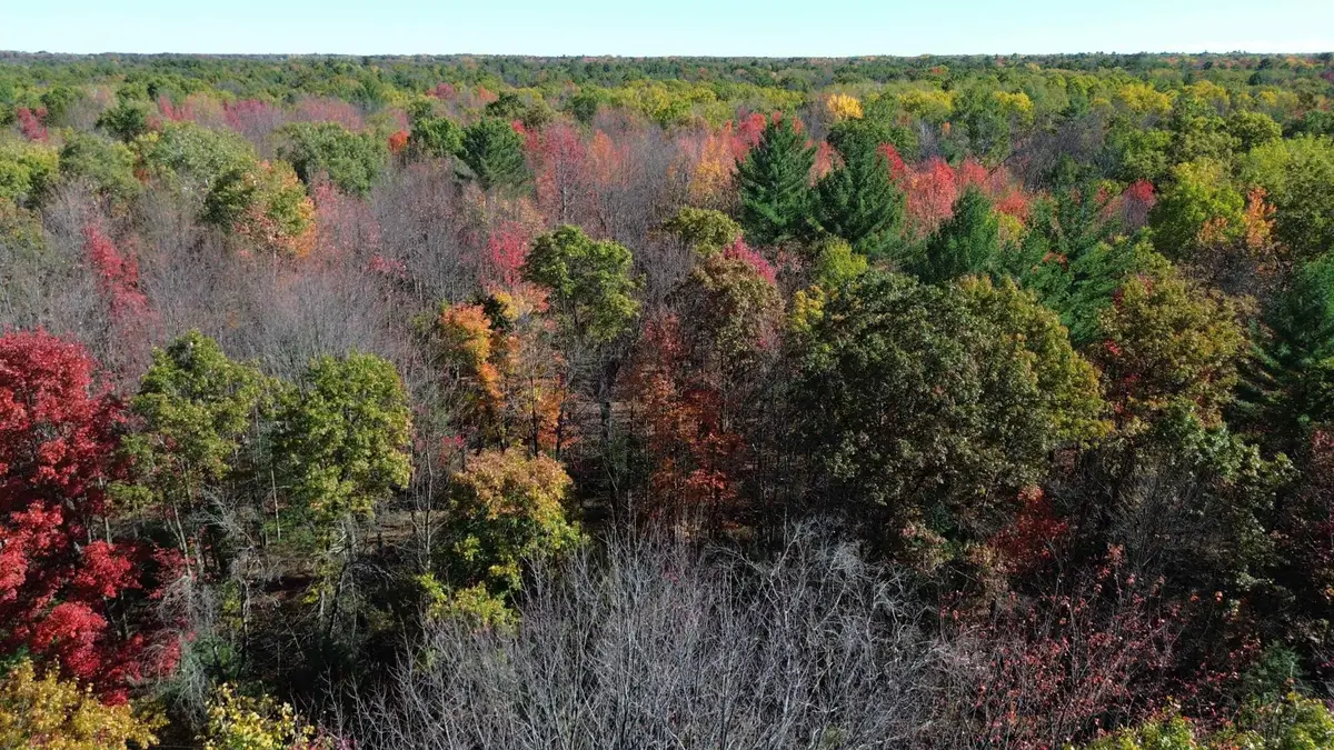 0 Timber, Prescott, MI 48756 - #1