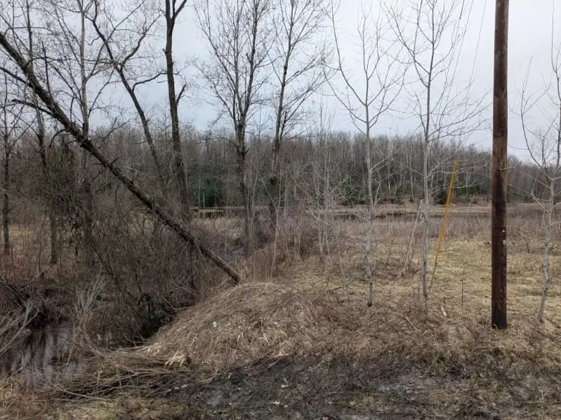 00 Lakeview DR, Hale, MI 48739 - #3