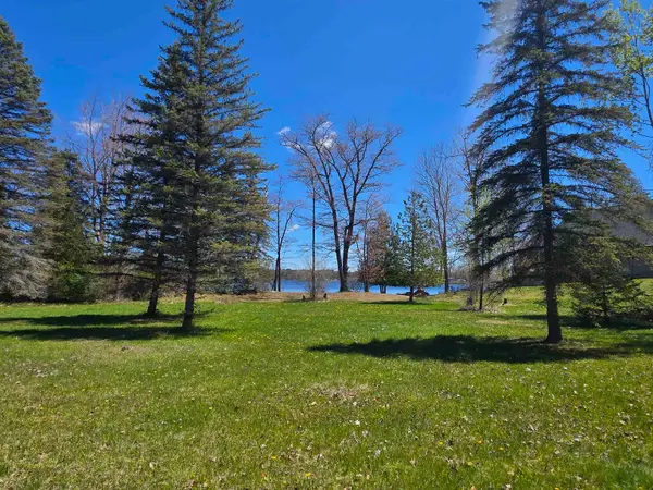 00 Bliss, Hale, MI 48739