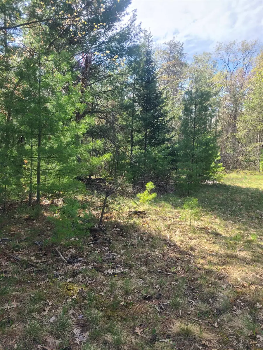 3856 Old State RD, Sand Lake, MI 48748 - #2