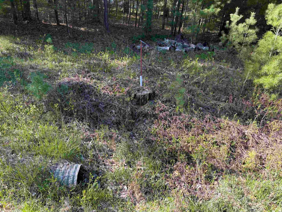 00 Miller RD, Baldwin, MI 48763 - #2