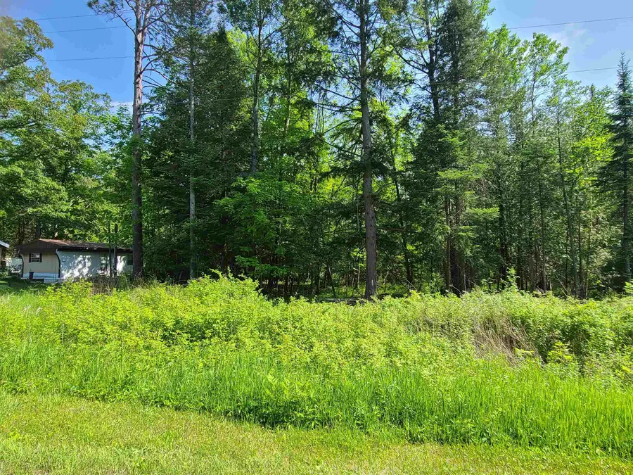 1281 W Trask Lake RD, Millen, MI 48705 - #2