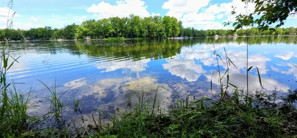 00 Red Oak, Prescott, MI 48610