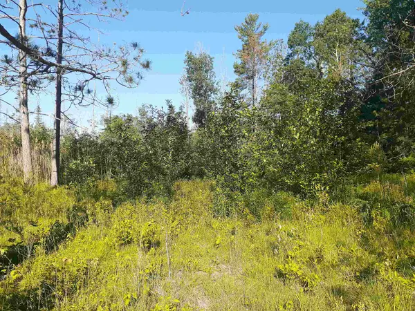 7631 F-41, Oscoda, MI 48750