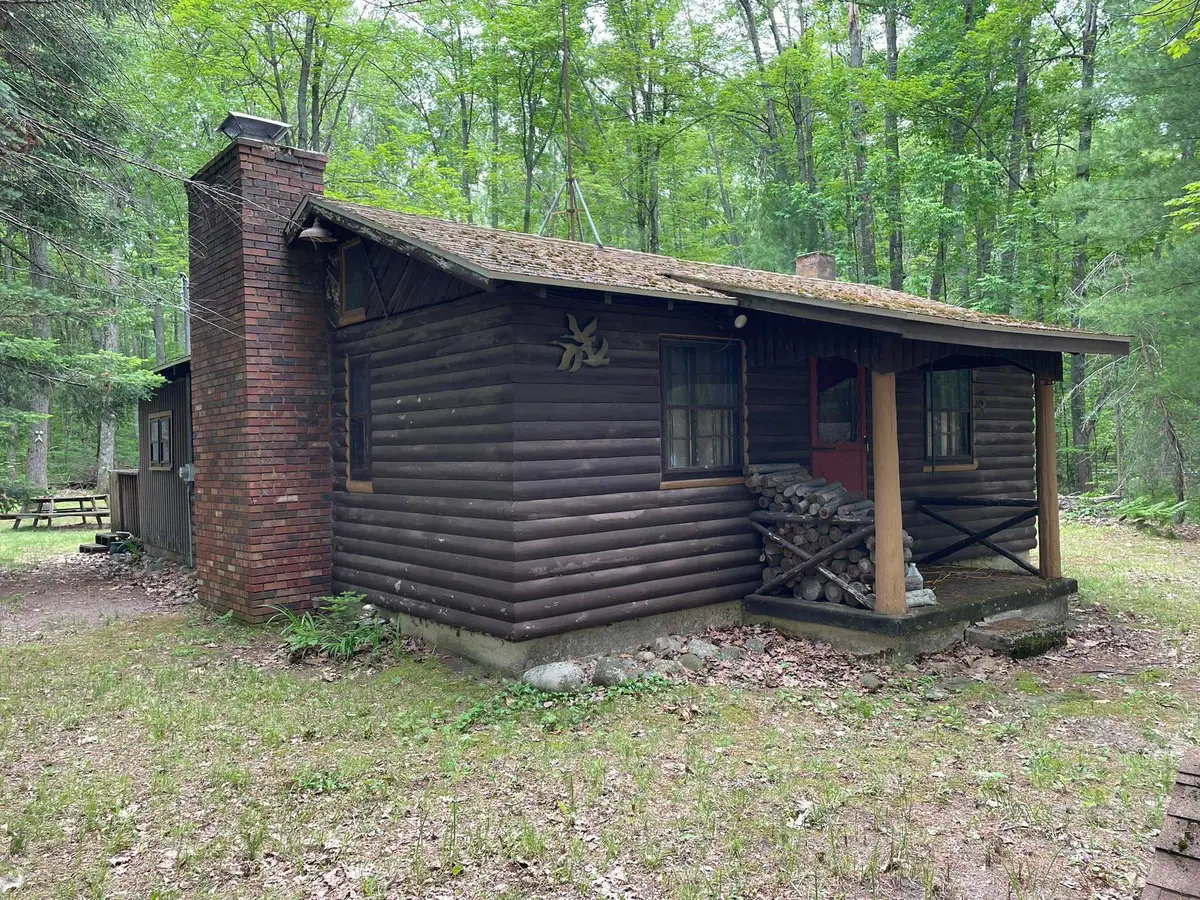 231 Dyer, Rose, MI 48654 - #1